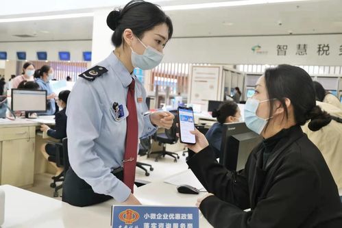 税动力 服务武汉科技创新 助力打造 热带雨林 式营商环境生态