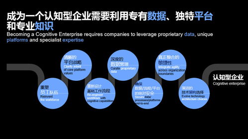 企业咨询服务 进入2.0时代,ibm领航咨询新模式